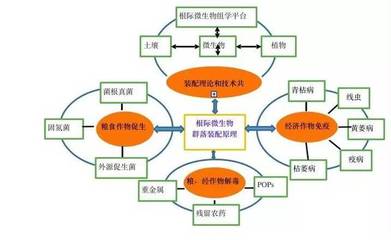 专访沈其荣 中国有机（类）肥料研发与生物有机肥料的产业突破